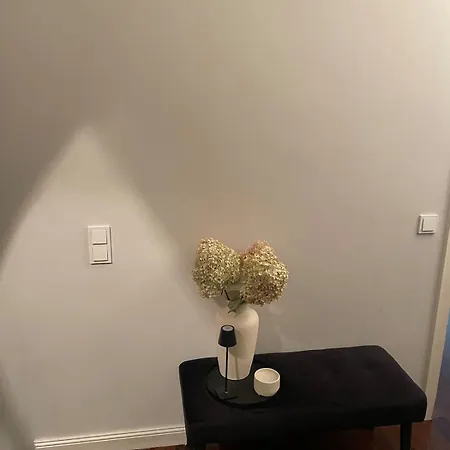 Luxus Wohnen Am Rhein Nah Der Messe *