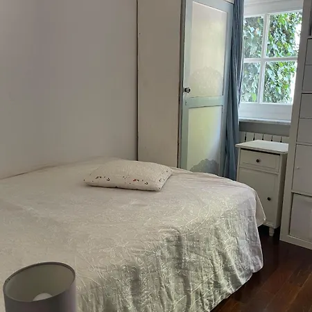 Luxus Wohnen Am Rhein Nah Der Messe