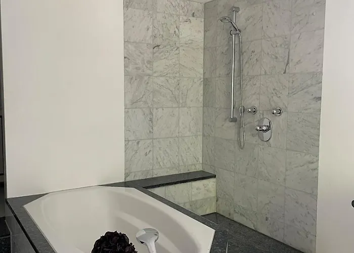 Luxus Wohnen Am Rhein Nah Der Messe * 杜塞尔多夫