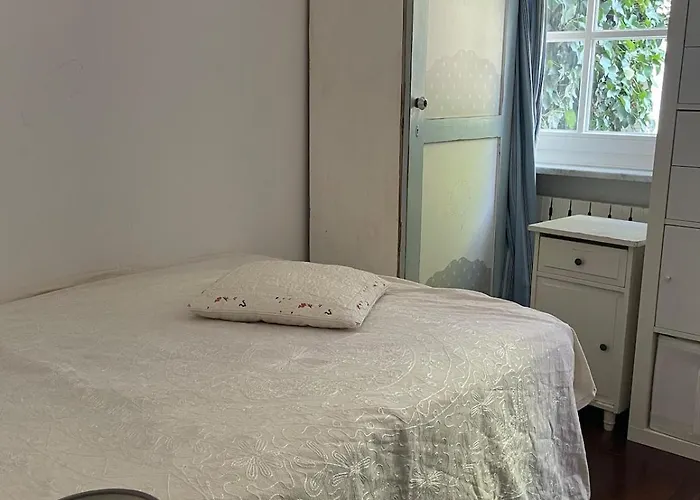 Luxus Wohnen Am Rhein Nah Der Messe