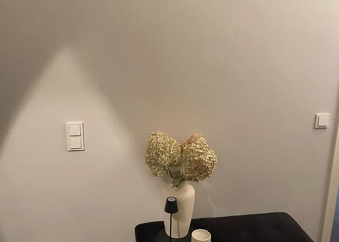 Luxus Wohnen Am Rhein Nah Der Messe *